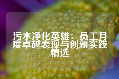 污水净化英雄：员工月度卓越表现与创新实践精选
