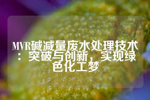MVR碱减量废水处理技术：突破与创新，实现绿色化工梦