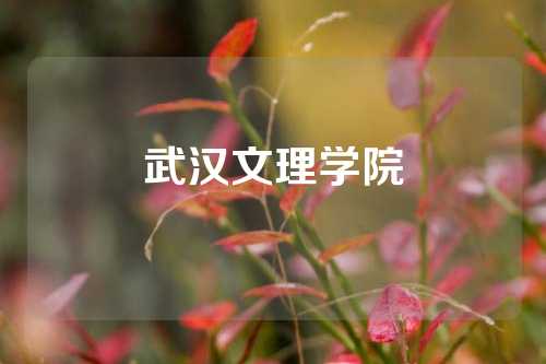 武汉文理学院