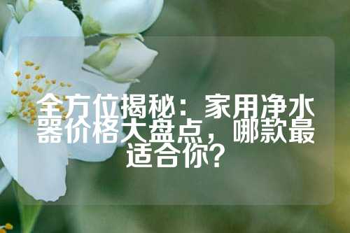 全方位揭秘：家用净水器价格大盘点，哪款最适合你？