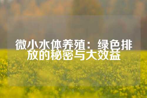 微小水体养殖：绿色排放的秘密与大效益