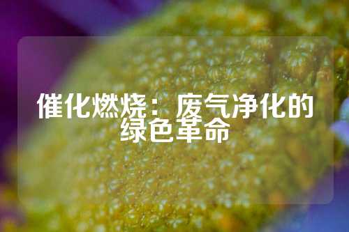 催化燃烧：废气净化的绿色革命