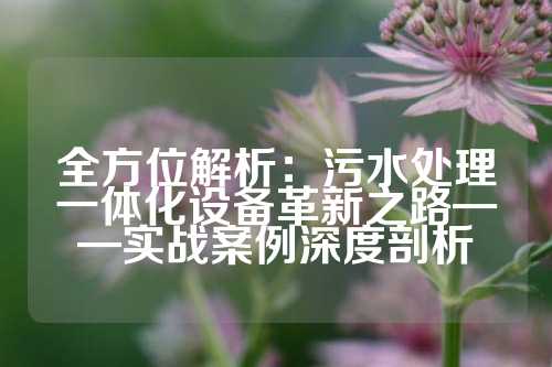 全方位解析：污水处理一体化设备革新之路——实战案例深度剖析
