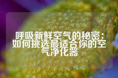 呼吸新鲜空气的秘密：如何挑选最适合你的空气净化器