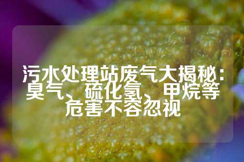 污水处理站废气大揭秘：臭气、硫化氢、甲烷等危害不容忽视