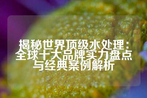 揭秘世界顶级水处理：全球十大品牌实力盘点与经典案例解析