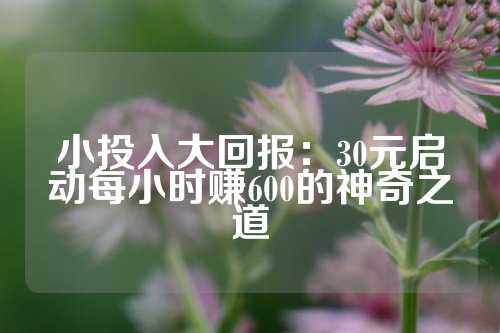 小投入大回报：30元启动每小时赚600的神奇之道