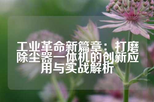 工业革命新篇章:打磨除尘器一体机的创新应用与实战解析