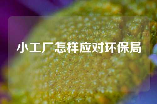 小工厂怎样应对环保局