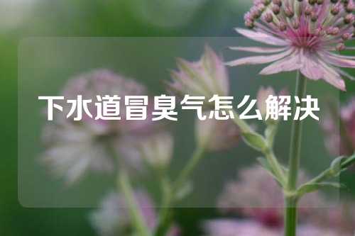 下水道冒臭气怎么解决