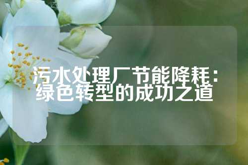 污水处理厂节能降耗：绿色转型的成功之道