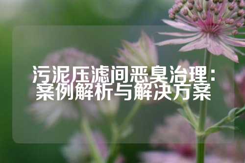 污泥压滤间恶臭治理：案例解析与解决方案