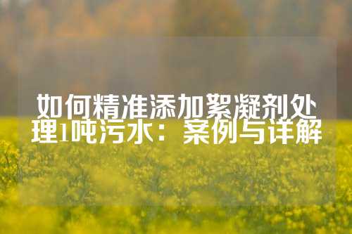 如何精准添加絮凝剂处理1吨污水：案例与详解