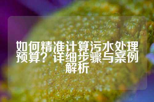 如何精准计算污水处理预算？详细步骤与案例解析