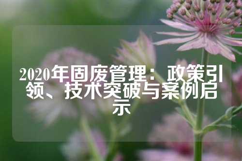 2020年固废管理：政策引领、技术突破与案例启示