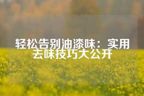 轻松告别油漆味：实用去味技巧大公开