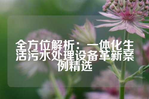 全方位解析：一体化生活污水处理设备革新案例精选