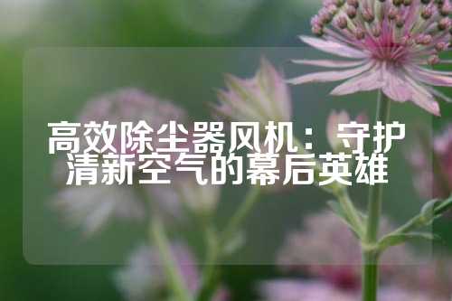 高效除尘器风机：守护清新空气的幕后英雄