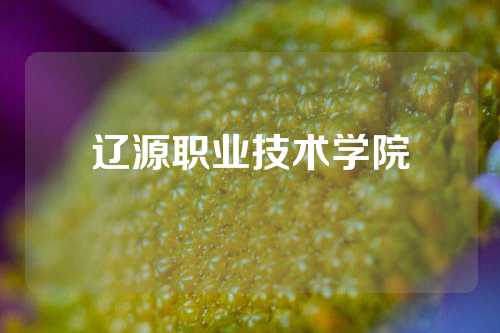 辽源职业技术学院