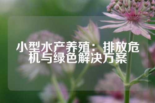 小型水产养殖：排放危机与绿色解决方案