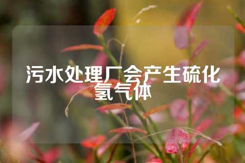 污水处理厂会产生硫化氢气体