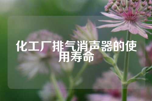 化工厂排气消声器的使用寿命