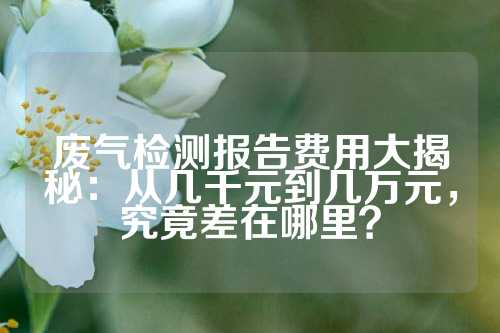 废气检测报告费用大揭秘：从几千元到几万元，究竟差在哪里？