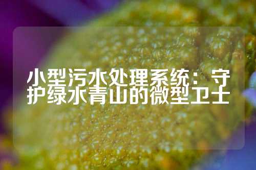 小型污水处理系统：守护绿水青山的微型卫士