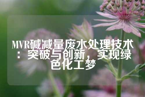 MVR碱减量废水处理技术：突破与创新，实现绿色化工梦