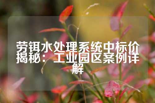 劳铒水处理系统中标价揭秘：工业园区案例详解