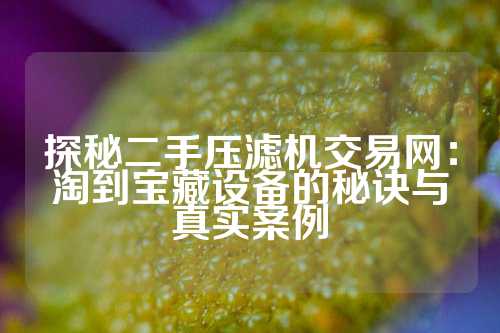探秘二手压滤机交易网：淘到宝藏设备的秘诀与真实案例