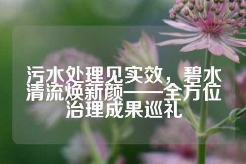 污水处理见实效，碧水清流焕新颜——全方位治理成果巡礼