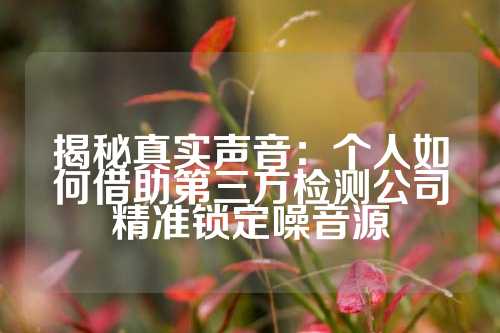揭秘真实声音：个人如何借助第三方检测公司精准锁定噪音源