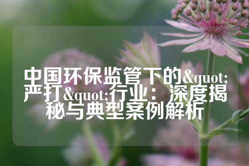 中国环保监管下的"严打"行业：深度揭秘与典型案例解析