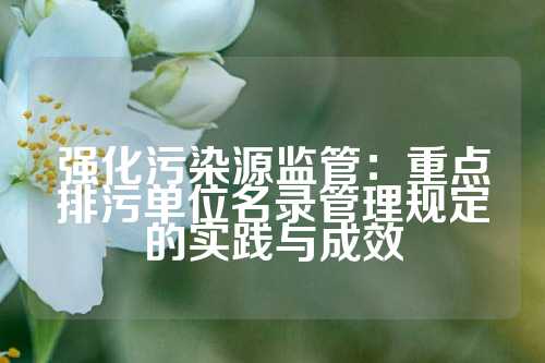 强化污染源监管：重点排污单位名录管理规定的实践与成效