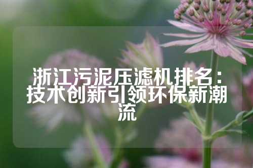 浙江污泥压滤机排名：技术创新引领环保新潮流