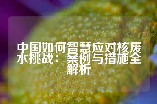 中国如何智慧应对核废水挑战：案例与措施全解析