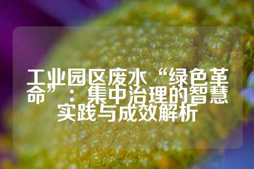 工业园区废水“绿色革命”：集中治理的智慧实践与成效解析