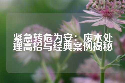 紧急转危为安：废水处理高招与经典案例揭秘
