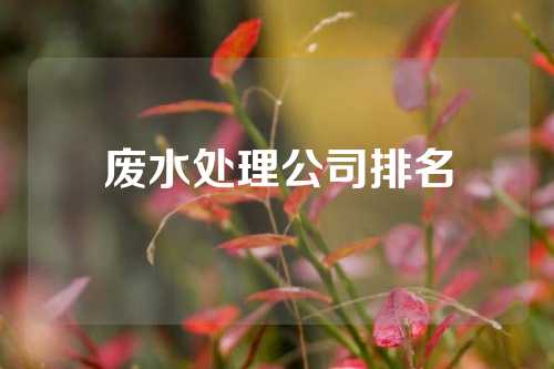 废水处理公司排名