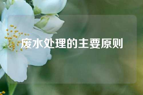 废水处理的主要原则