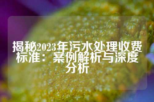 揭秘2023年污水处理收费标准：案例解析与深度分析