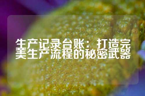 生产记录台账：打造完美生产流程的秘密武器