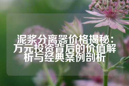 泥浆分离器价格揭秘：万元投资背后的价值解析与经典案例剖析
