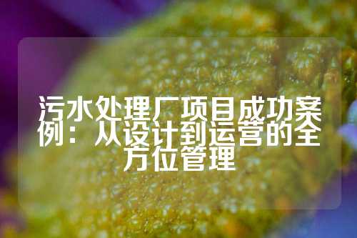 污水处理厂项目成功案例：从设计到运营的全方位管理
