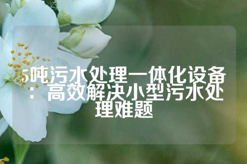 5吨污水处理一体化设备：高效解决小型污水处理难题