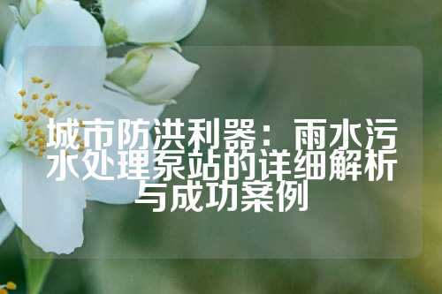 城市防洪利器:雨水污水处理泵站的详细解析与成功案例