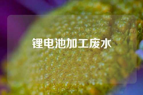锂电池加工废水