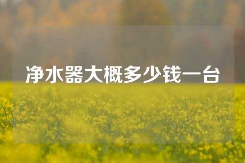 净水器大概多少钱一台