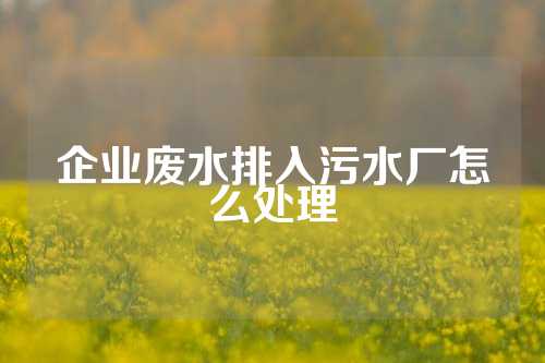 企业废水排入污水厂怎么处理